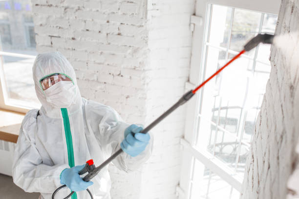 Best Air Quality Testing for Mold Spores  in Perham, MN