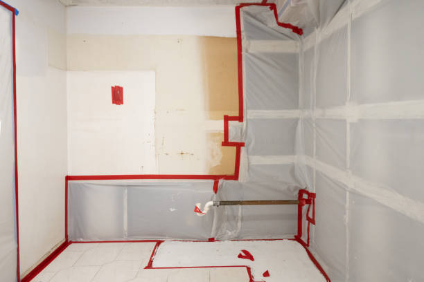 Best Mold Removal for HVAC Installations  in Perham, MN