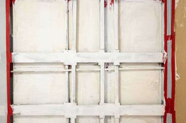 Best Emergency Mold Remediation  in Perham, MN