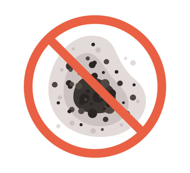 Mold Remediation for Rental Properties in Perham, MN