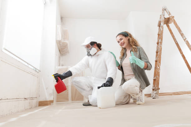 Best Airborne Mold Testing  in Perham, MN