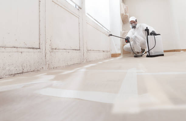 Best Airborne Mold Testing  in Perham, MN