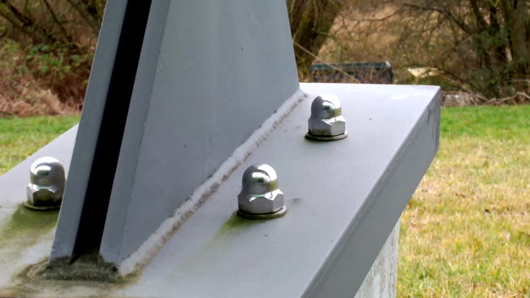Best Mold Damage Restoration  in Perham, MN